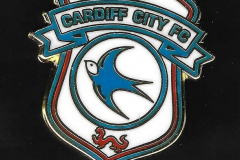 28916-Cardiff-City 28916-Cardiff-City