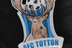 28924-AFC-Totton 28924-AFC-Totton