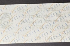 22148-Malaysian-X1-ticket