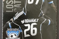 San-Jose-Earthquakes-3