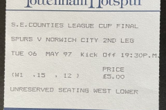 Tottenham-Hotspur-SECL-final