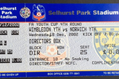 Wimbledon-FAYC-directors-box