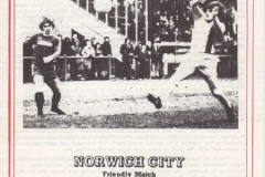 Harlow-Town-friendly