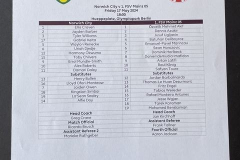 1-FSV-Mainz-05-Berlin-cup