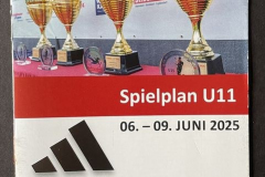 Cordial-Cup-small-programme